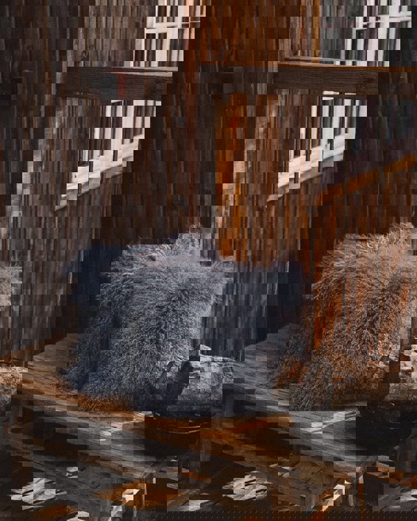 Curly Cushion | Doublesided | 40x40 cm Steel