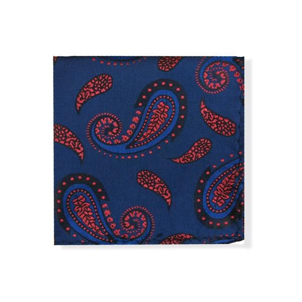 Blue Burgundy Paisley Tie & Pocket Square Set