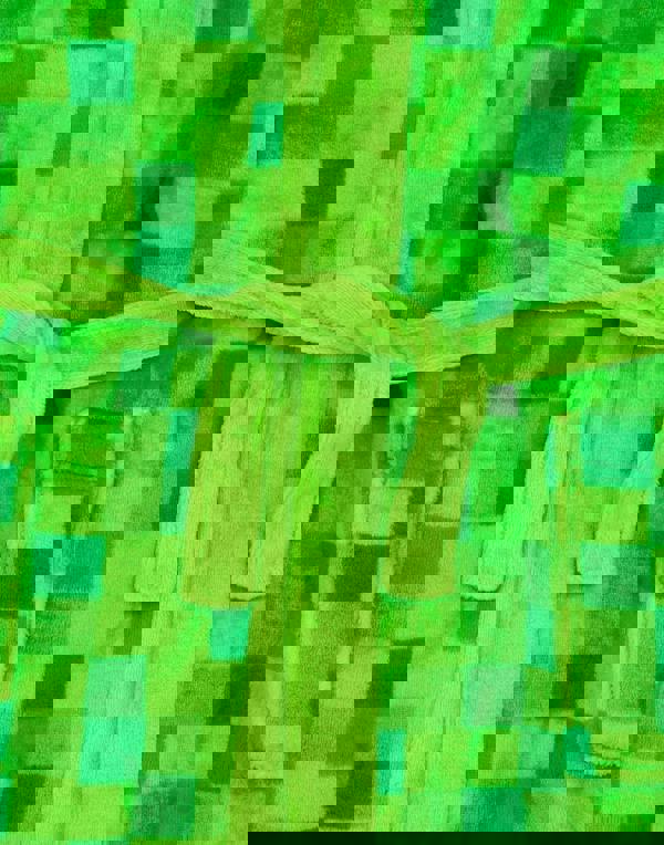 Minecraft Unisex Kids Green Pixel Creeper Novelty Print Bathrobe