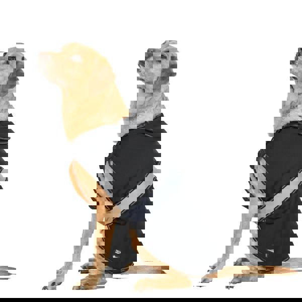 Trespass Butch Touch Fastening Softshell Dog Jacket - Black - 