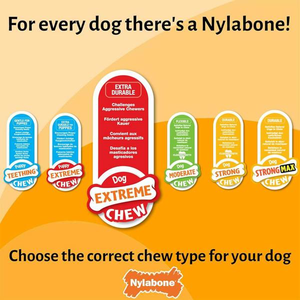 Nylabone Extreme Chewers Lobster Dog Chew Toy Filet Mignon Flavour (Small)