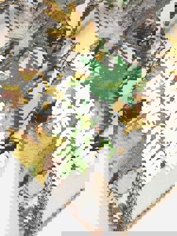 BBCA5011_MULTICOLOURED_4