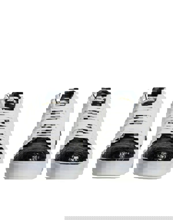 183768264.jpg