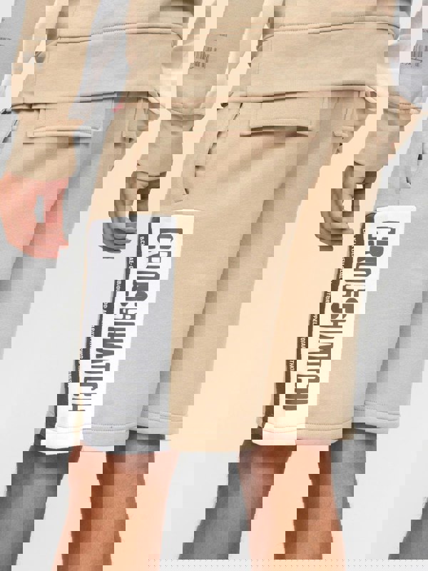 Crosshatch Silomane Shorts Stone