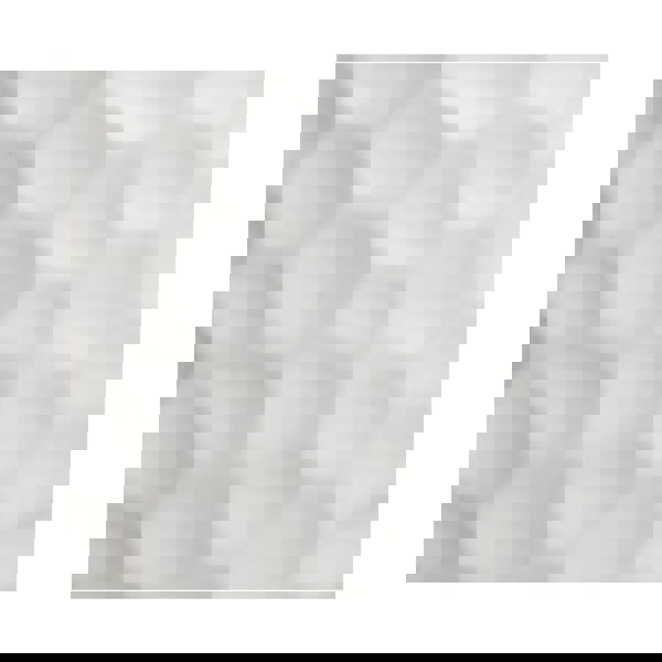 Royal Botanic Gardens Kew Botanical Textured White Planter