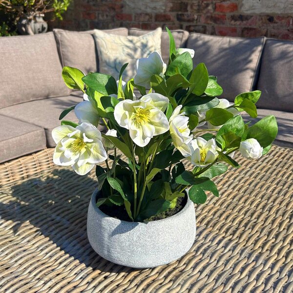 Wyld Haus Artificial Plant White Hellebore Plant In Grey Ceramic Pot