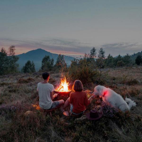 EzyDog Go-2 Dog Light