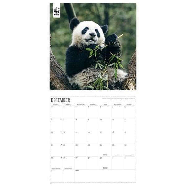 WWF, Pandas Calendar 2027, Wall Calendars, Month To View, Animals, Gift