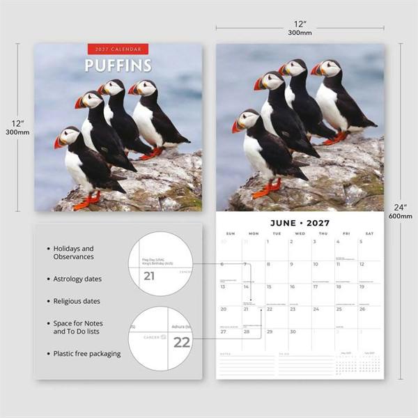 Puffins Calendar 2027, Wall Calendars, Month To View, Animals, Gift