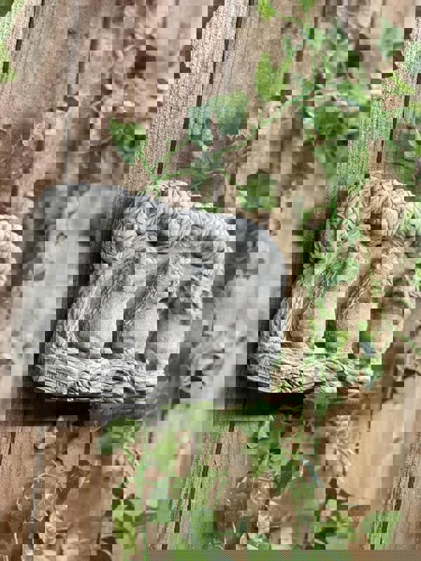 Cute Hedgehog family Stone Wall Plaque