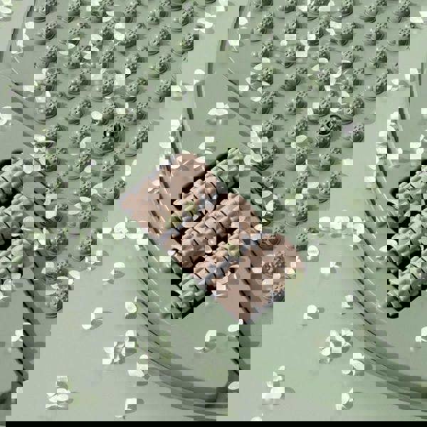 Leaper Home Fitness Foot Massage Acupressure Plate