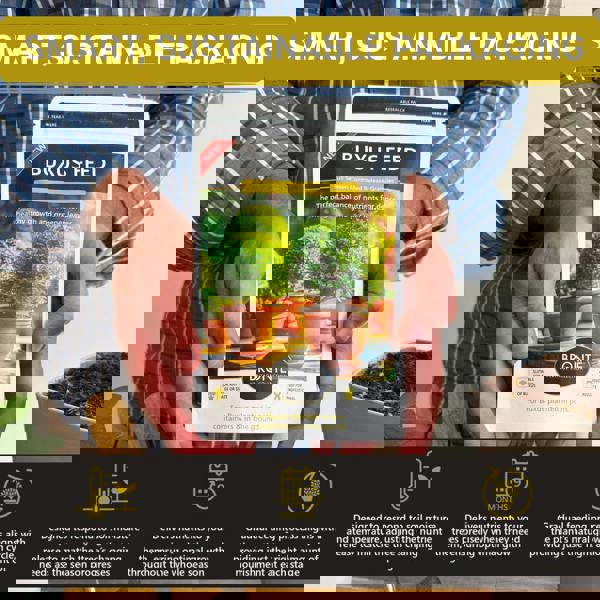 Bronte Heritage Buxus Feed – Controlled-release granules for box hedges & topiary in pots, containers, or ground. 120g for lush, green growth