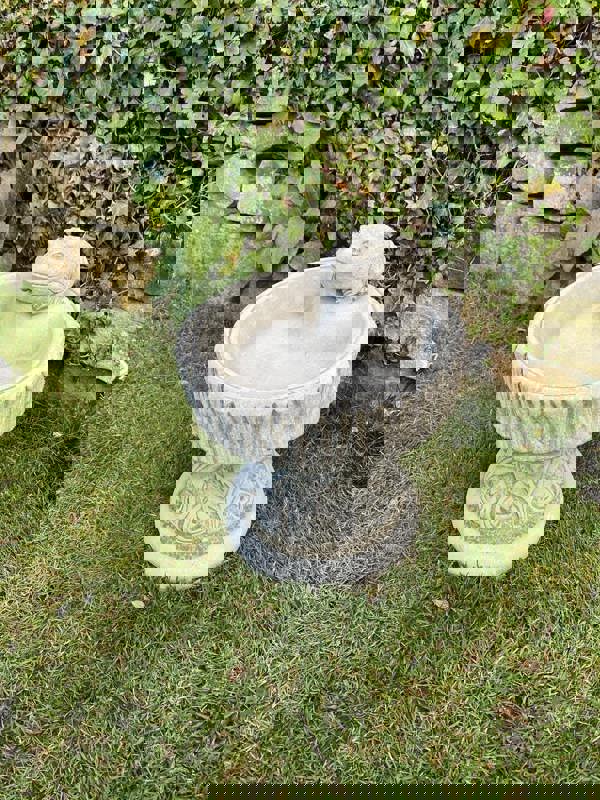 Rustic Garden Birdbath with Frog atop