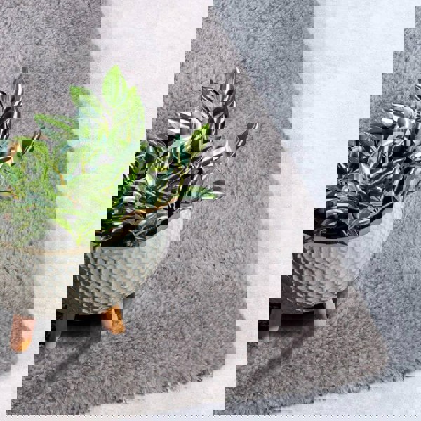 Myk Olaf High Pile Rug Plain Design