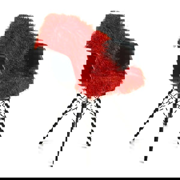 Curly Sheepskin | Tibetan | 85x50 cm Fiesta