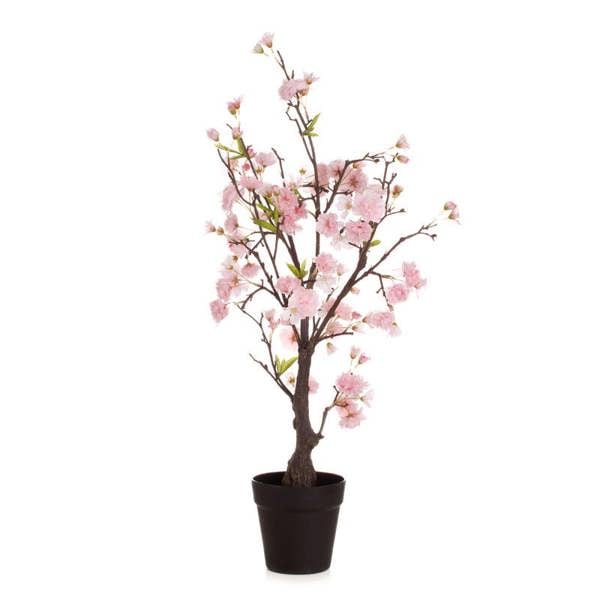 Scottish Everlastings 80cm Cherry Blossom Tree Pink
