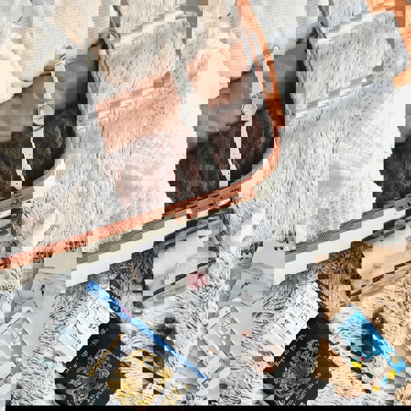 Flight Knight 55x40x20cm Cabin Carry Bag Hard Shell Suitcase TUI, Ryanair (Priority)