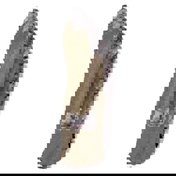 Brissa-3/4_jacket_TAUPE_2XL - 18, Brissa-3/4_jacket_TAUPE_3XL - 20, Brissa-3/4_jacket_TAUPE_L - 14, Brissa-3/4_jacket_TAUPE_M - 12, Brissa-3/4_jacket_TAUPE_S - 10, Brissa-3/4_jacket_TAUPE_XL - 16, Brissa-3/4_jacket_TAUPE_XS - 8