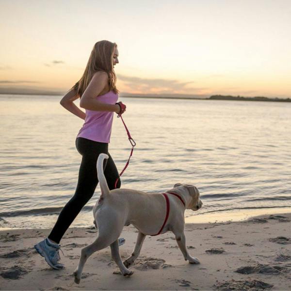 EzyDog Handy Carabiner Dog Lead