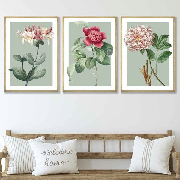 Artze Wall Art Vintage Flowers Honeysuckle, Peony Set of 3 Framed Prints