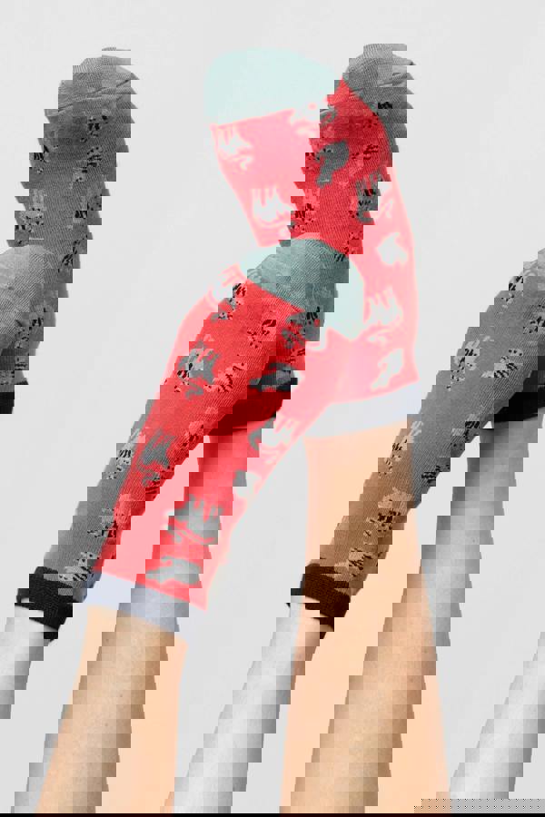 Claudia Cat Trainer Socks