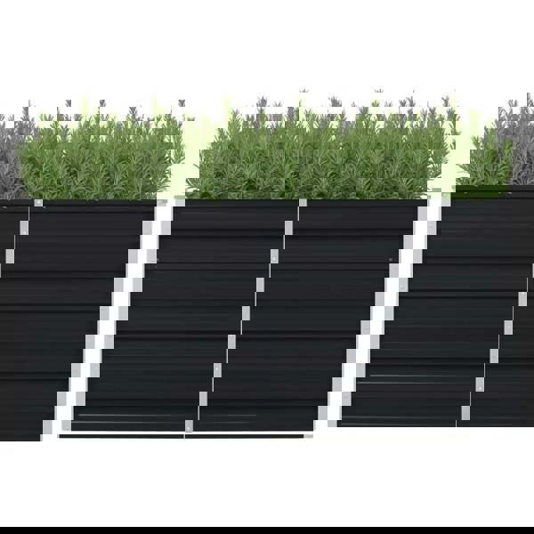 Berkfield Raised Garden Bed Anthracite 160x80x77 cm Galvanised Steel