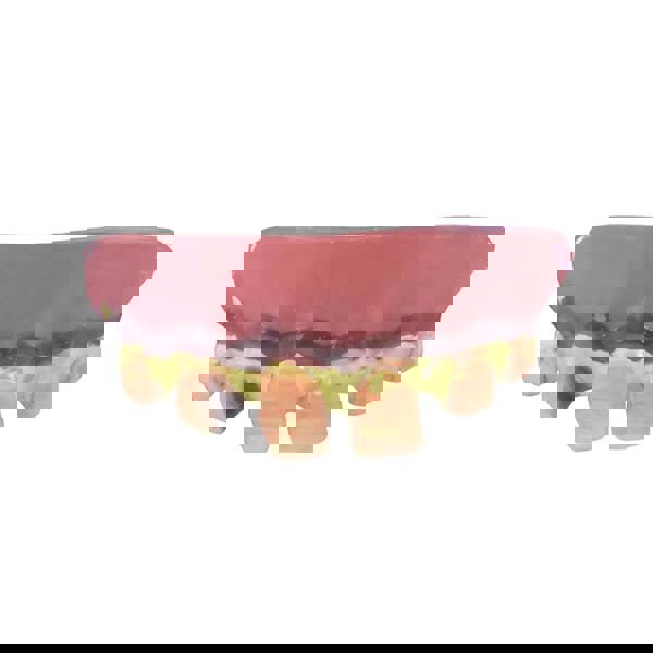 Bristol Novelty Goofy Fake Teeth - Red - 