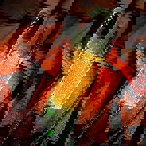 Leaper Portable Outdoor Camping Light