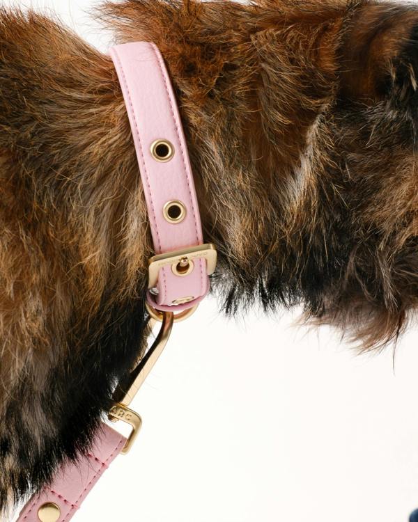 Barc London Blush Pink Dog Collar