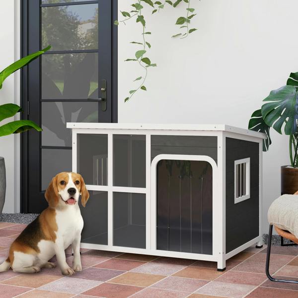 Dog Kennel House