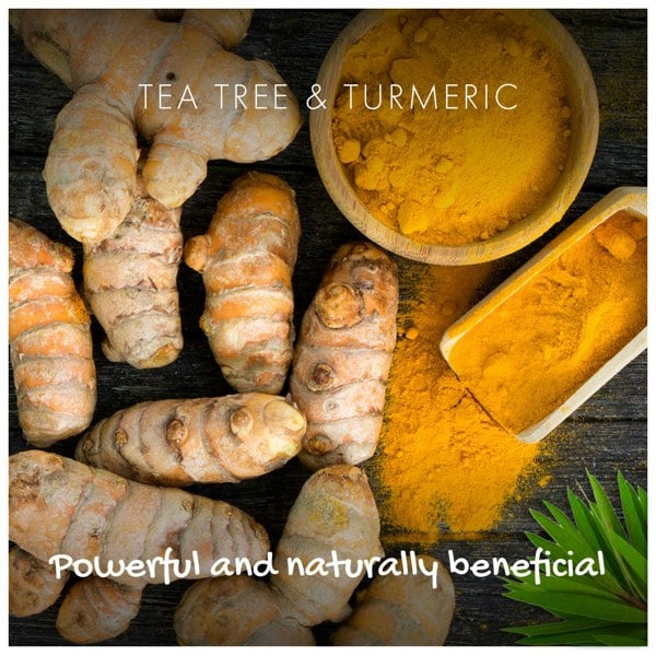 Turmeric powder ingredients on a table