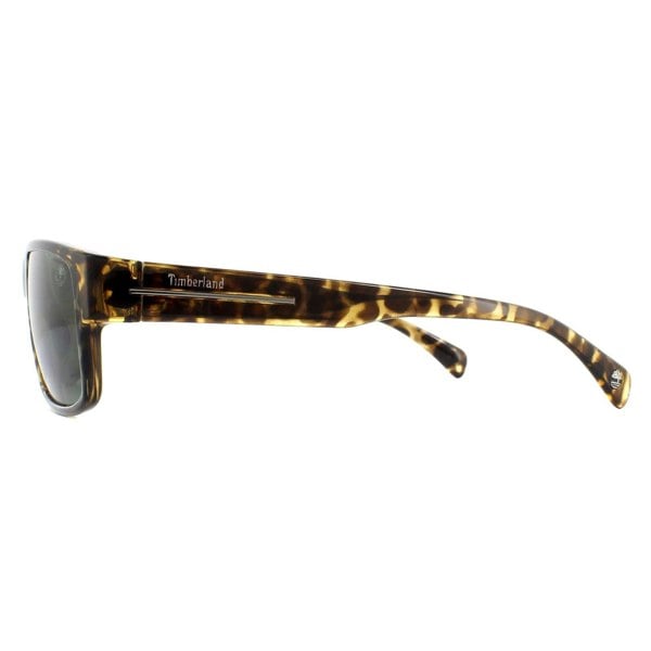 Timberland Sunglasses TB9064 52R Dark Havana Green