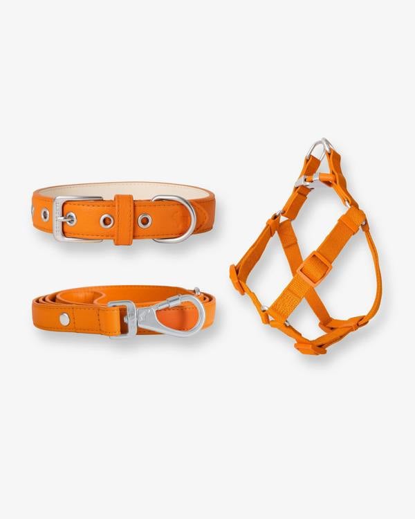 Barc London Mandarin Orange Dog Collar, Harness & Lead Set