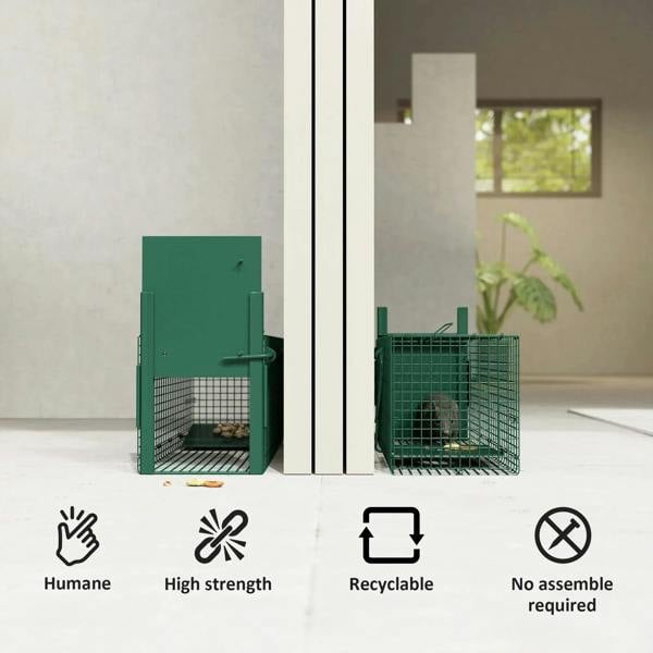 Dark green single-door wire trap with open entrance and trigger panel, indoor use