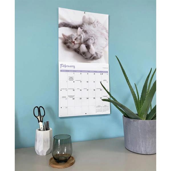 Cat Naps Calendar 2027, Wall Calendars, Month To View, Cats, Gift