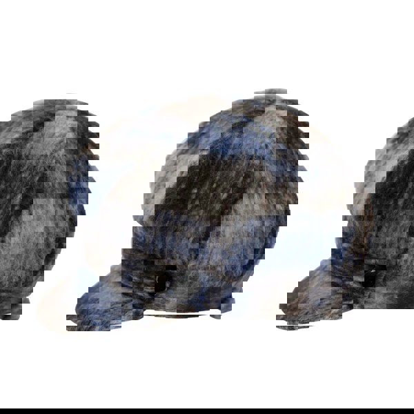 Heritage Traditions Ladies Coco Tweed Newsboy Cap