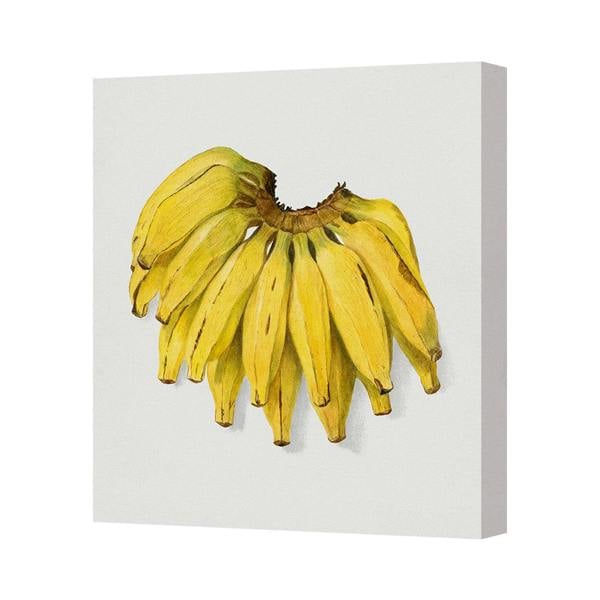 Benjamin Tate Design Yellow Banana Cluster Canvas Wall Art Print On Deep Wood Frame