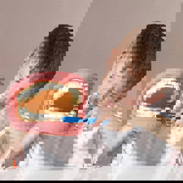 tickit Giant Teeth Demonstration Set