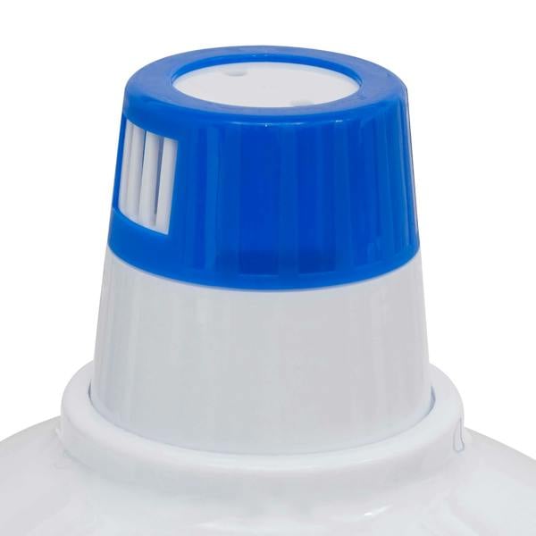 Dellonda DL28 Pool & Spa Chemicals 3rd perspective