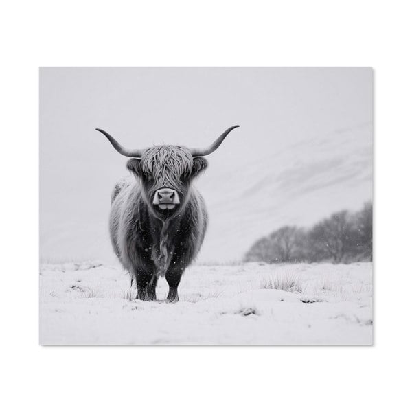 Warren Reed - Designer Lone Highland Cow Kitchen Splashback