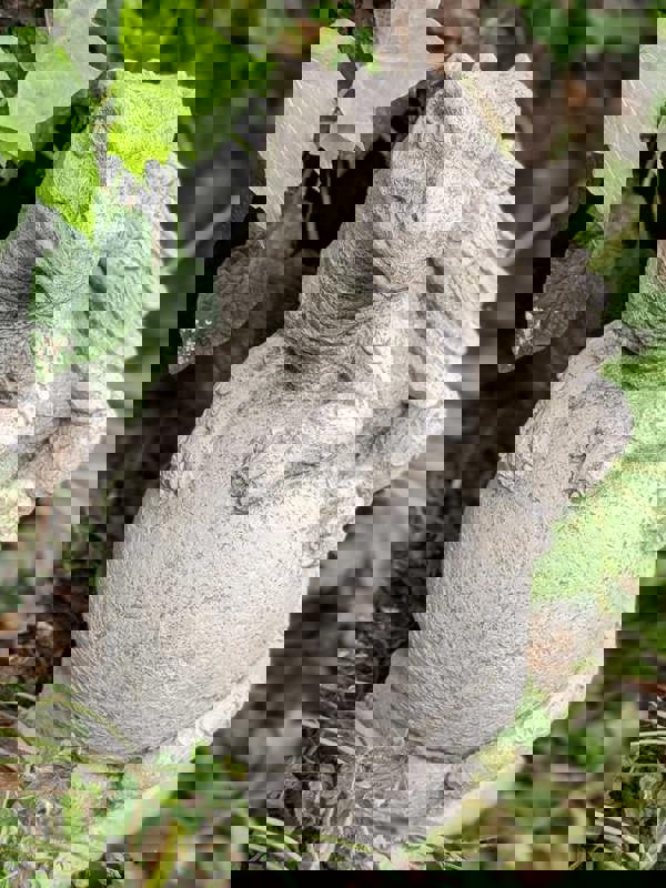 Solid Stone Cast Dragon on Ball Garden Ornament