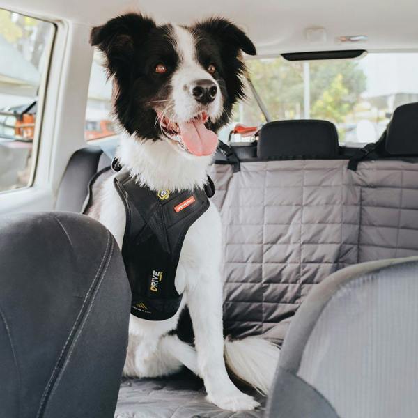 EzyDog Drive Car Harness