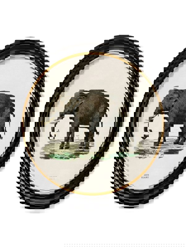Exceptional Art c.1846 Elephants in Round Frame