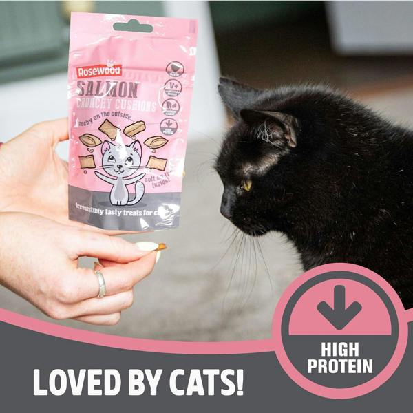 Rosewood Salmon Crunchy Cushions Cat Treats 60g