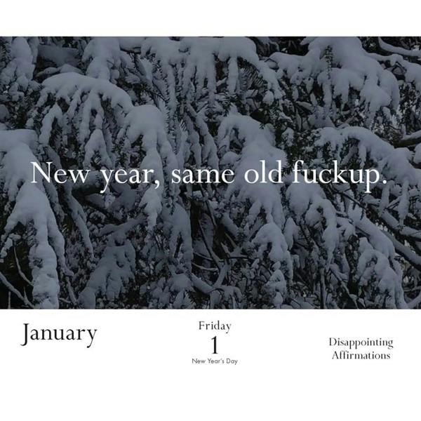 Chronicle Books Disappointing Affirmations Desk Calendar 2027, Desk Calendars, Day To View, Humour, Gift