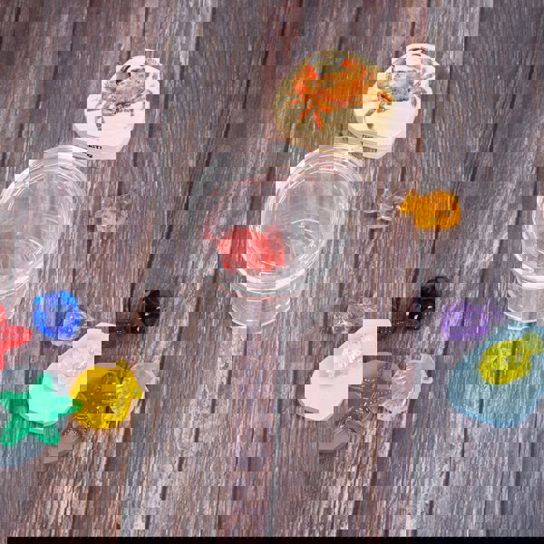 tickit Clear Bug Viewer