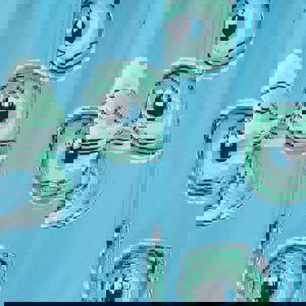 Randy Cow Matching Father & Son Turtles Swim Shorts with Waterproof Pocket