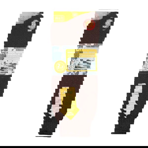 t4option1_1