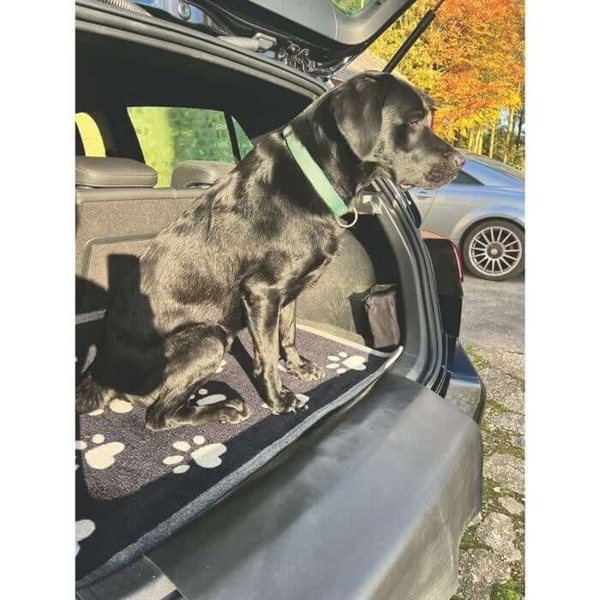 The Rugs Washable Home Dogs Mat: Stylish & Practical