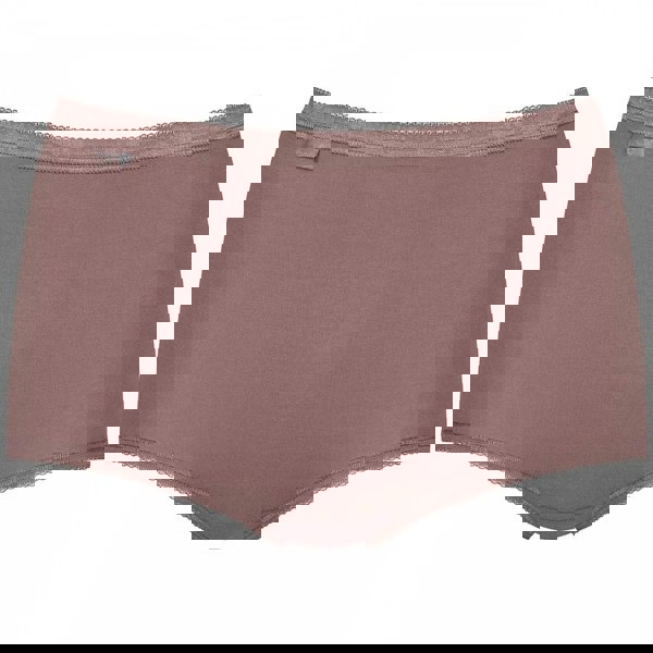 Sloggi Holiday Edition 3 Pack Maxi Brief, Brown/Light Combination